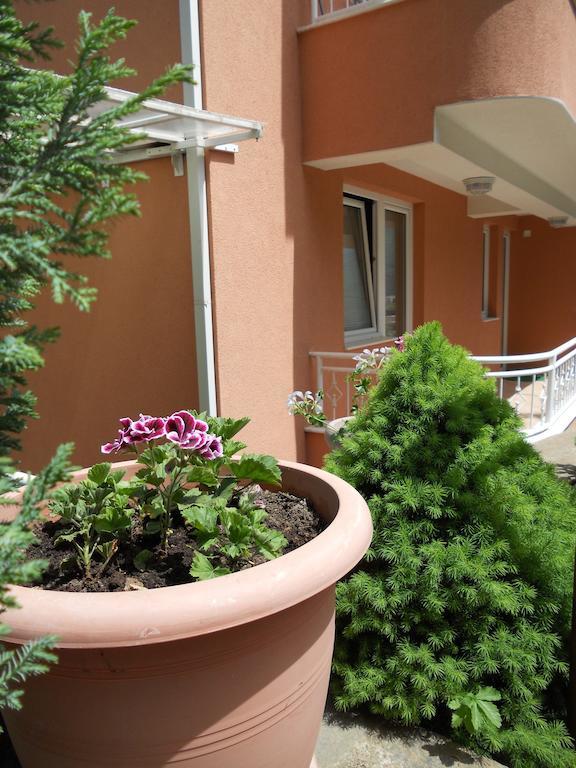 Boris & Matej Apartments Ohrid Bagian luar foto